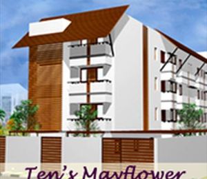 Tens Mayflower