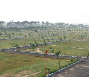 Accord Electronic City