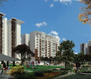 Ozone Urbana