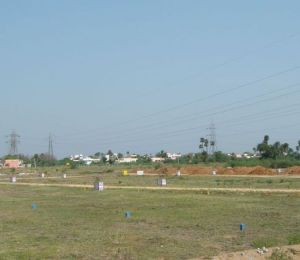 Ever Pemmasani Avenue