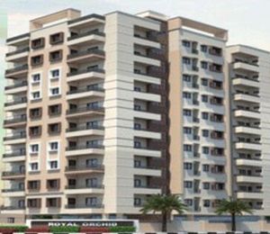 Gyanesh Royal Orchid