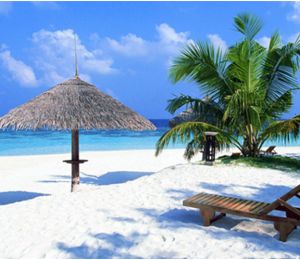 Star Beach Park