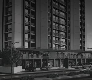 Venus Parkheights