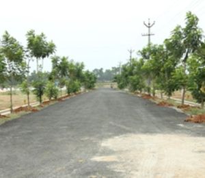 Swathi Neeladhri Township