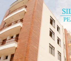Deoasis Silver Pearl