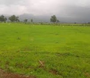 Indo Mount Valley