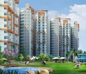 The Aranya