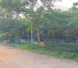 Pallavarajha Pallava Garden
