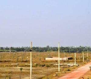 Parthiva Satya Park