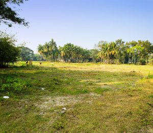 Parthiva Kalyani Enclave