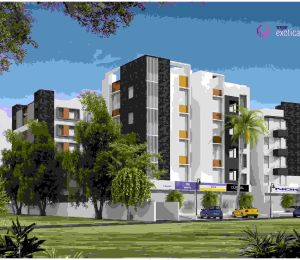 PSY Pramukh Exotica