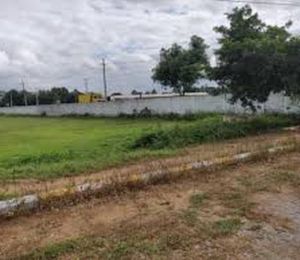 Vishnu Green Fields