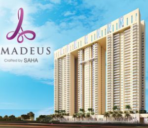 Saha Amadeus