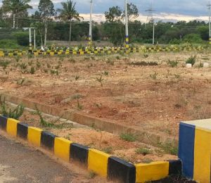 Shree Durga Palm Grove
