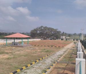 Sitrus Valley