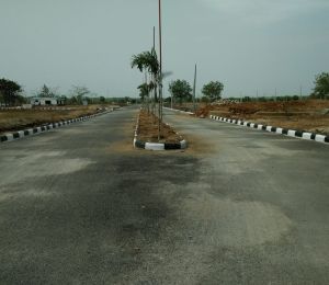 Suchirindia Silver Sands