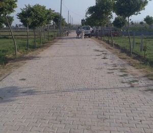 Vasundhara Lorvens Hi Land