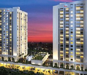 Skyline 24 Carat