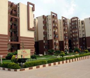 Hill View Garden