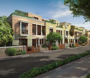 Luxora Park House Holistic