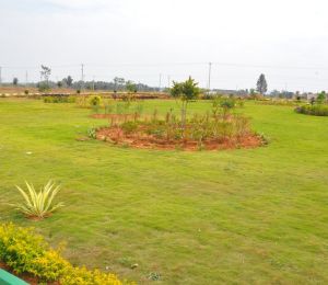 Upkar Spring Valley