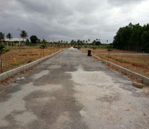 Manani Green City