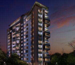 Malabar Grand Oak