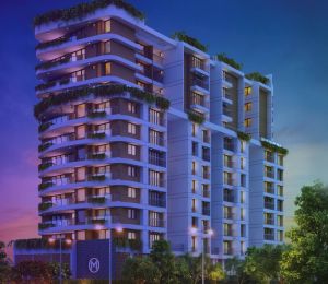 Malabar Grand Cypress