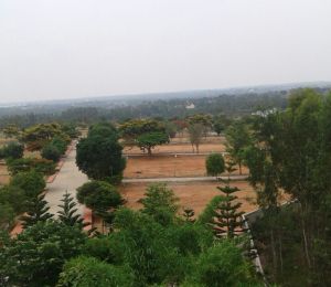 NBR Green Valley
