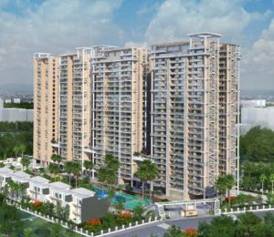 Sikka Kimaantra Greens