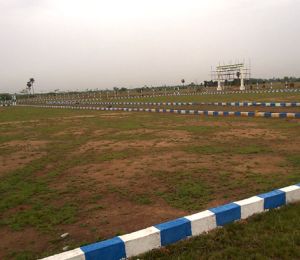 i5 Green Garden