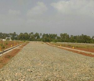 Bhashyam Pioneer County