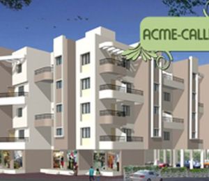 ACME Callista