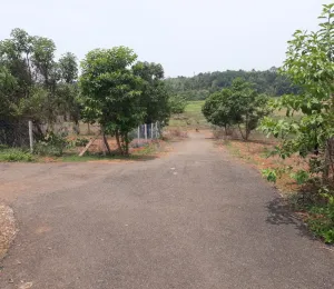 Chathamkulam Green Valley