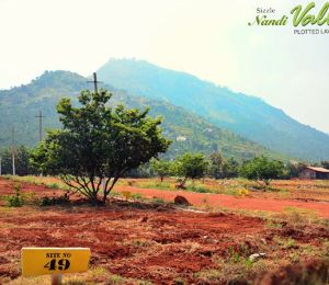 Sizzle Nandi Valley
