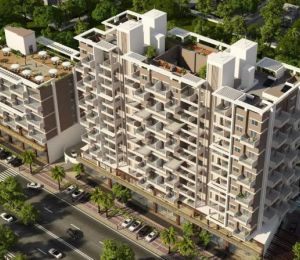 Bhoomi Allium