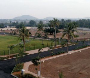 Sobha Evergreen Plots
