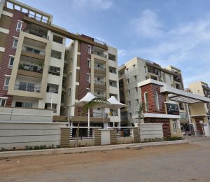 Omsree Patels Green Park