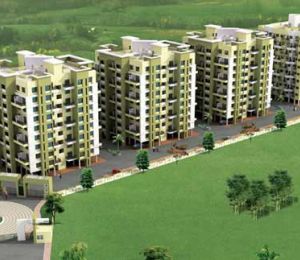 Ram Green Hive