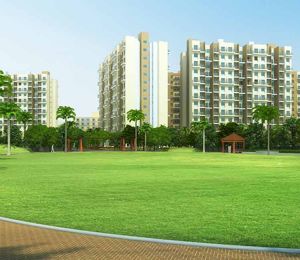Maple Aapla Ghar Kondhwa Annexe