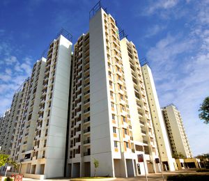 TATA New Haven