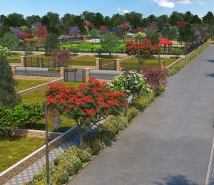 Central Park Mikasa Plots