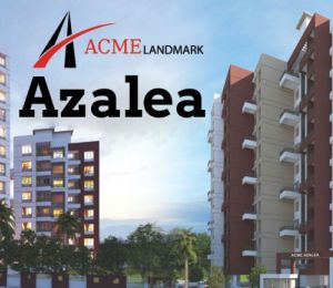 ACME Azalea