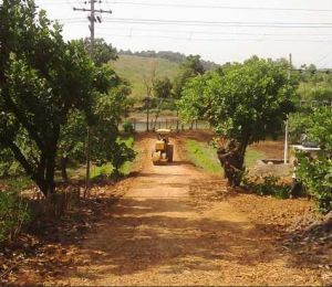 Emarrald Q Gardens Plot