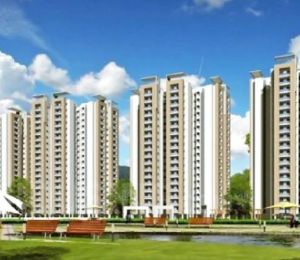 Supertech Renesa