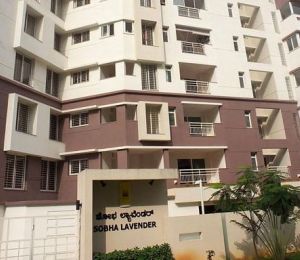 Sobha Lavender