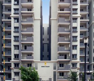 Sobha Daisy