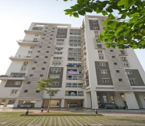Srijan Palazzo