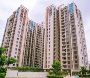 Srijan Ozone