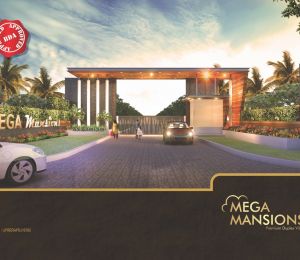 Mega Mansions